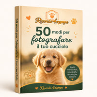 Guida fotografica: 50 scatti perfetti al tuo cane